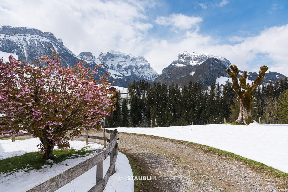 Wintereinbruch im April
