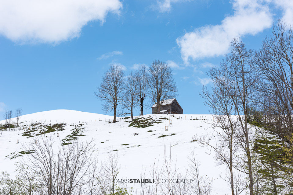 Stall im Appenzellerland