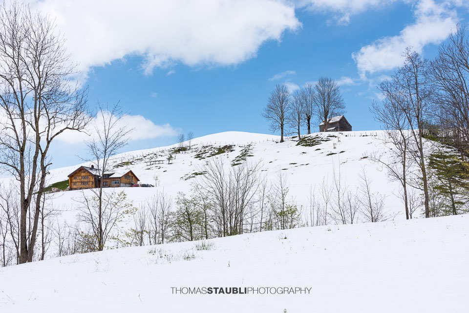 Stall im Appenzellerland
