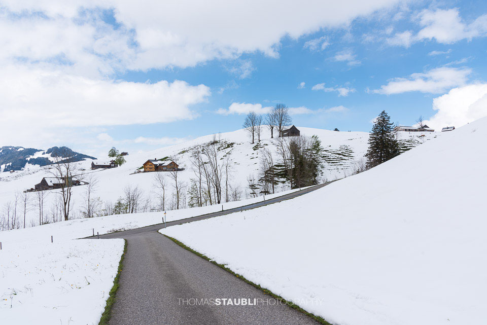 verschneite Hügellandschaft im Appenzellerland