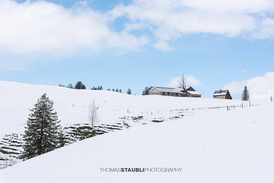 verschneite Hügellandschaft im Appenzellerland
