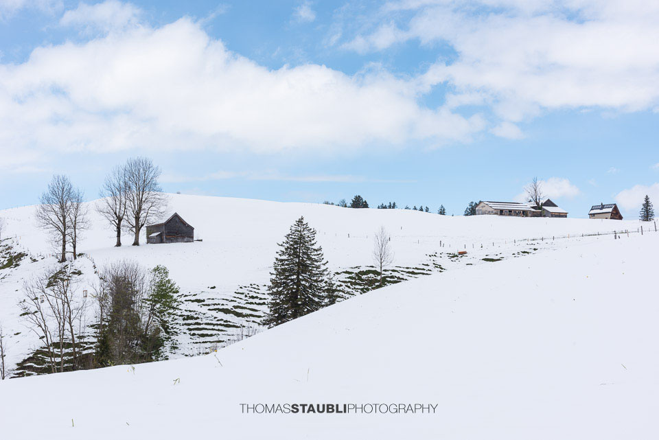 verschneite Hügellandschaft im Appenzellerland