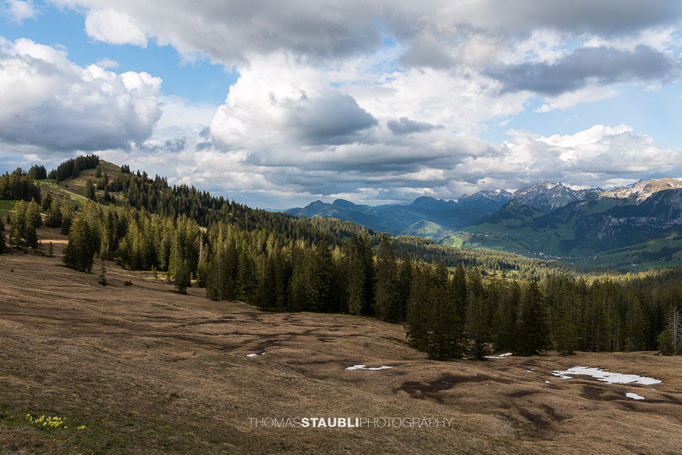 Lings der Furggelenstock