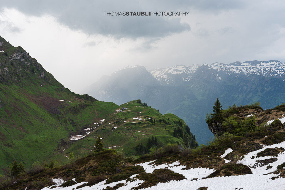 Blick zur Guppenalp-Oberstafel