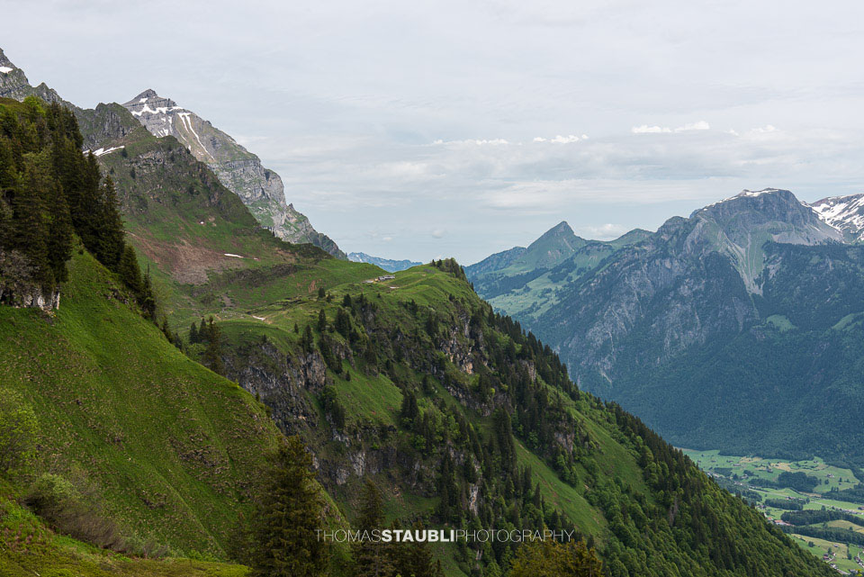 Blick vom Ijenstock Richtung Guppenalp-Oberstaffel