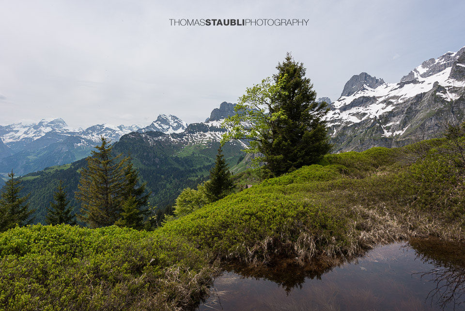 Blick vom Ijenstock Richtung Ortstock, Eggstock und Bösbächistock