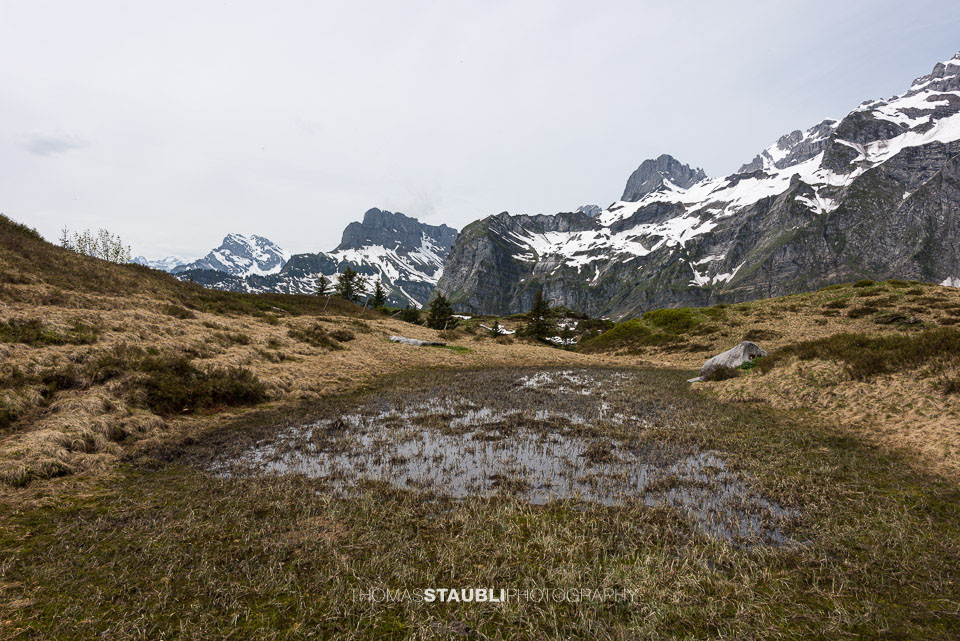 Ortstock, Eggstock, Bösbächistock u.a.