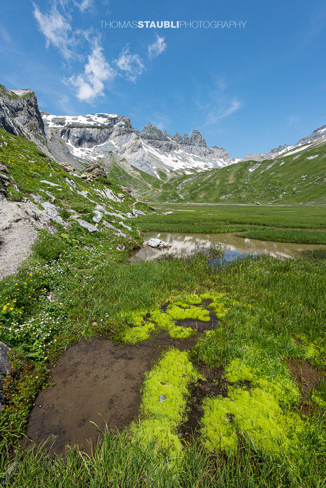 Schwemmebene Segnesboden