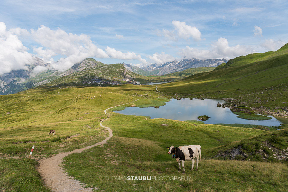 Blick auf den Blausee und die Melchsee-Frutt