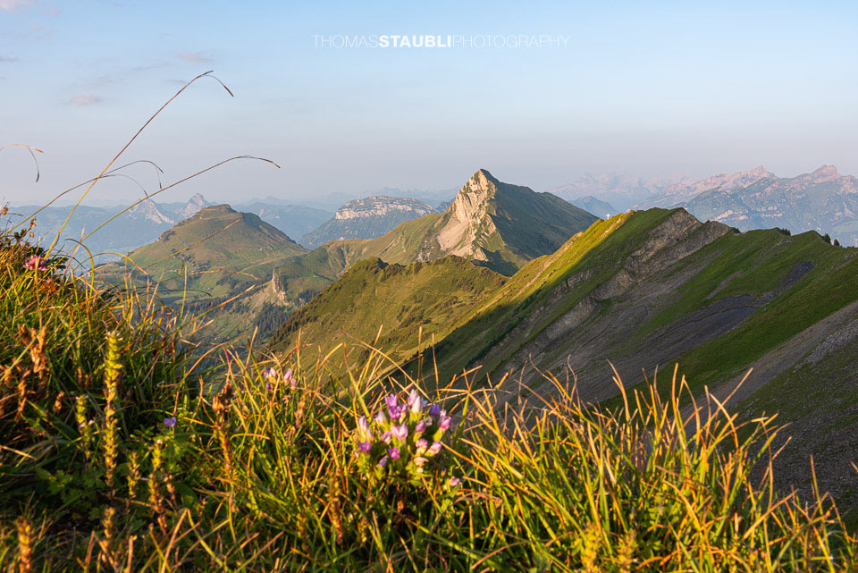 der Oberbauenstock im Abendlicht