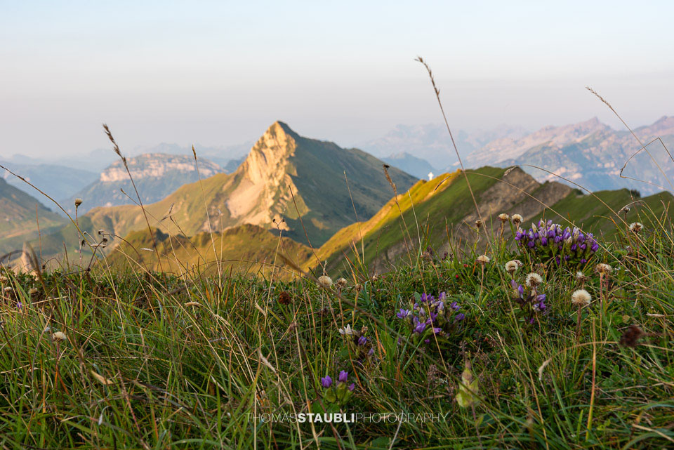 Blick vom Jochlistock