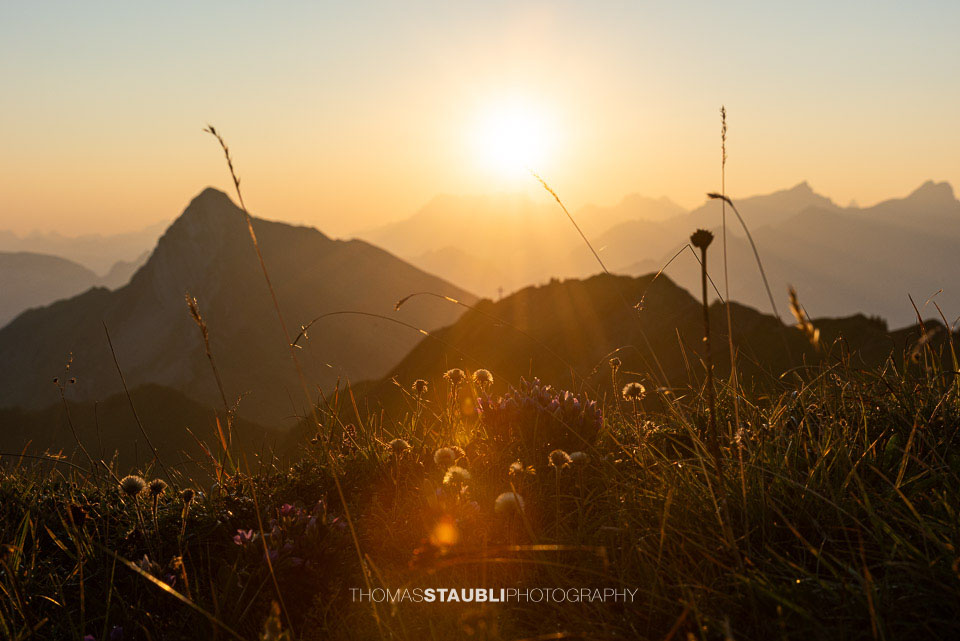 Blick vom Jochlistock