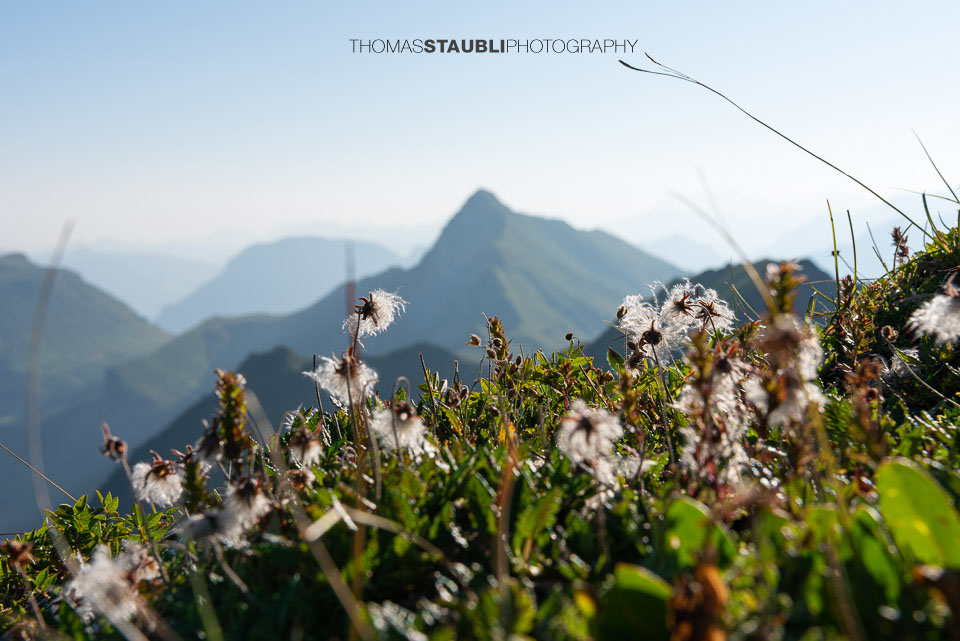 Blick vom Jochlistock