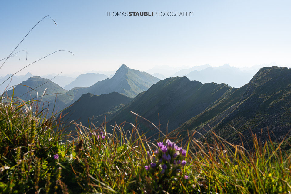 Blick zum Oberbauenstock