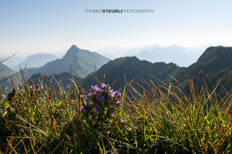 Blick vom Jochlistock