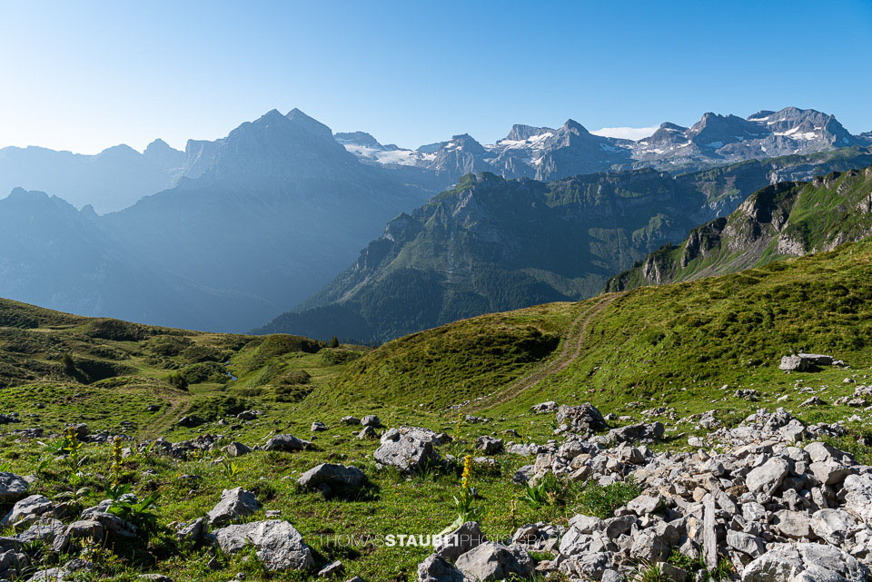 Blick zu den Urner Alpen