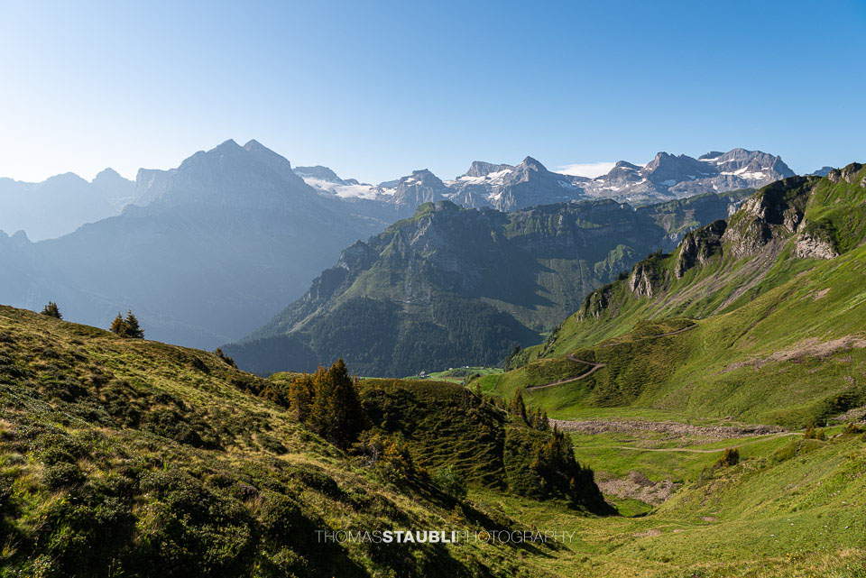 Blick zu den Urner Alpen