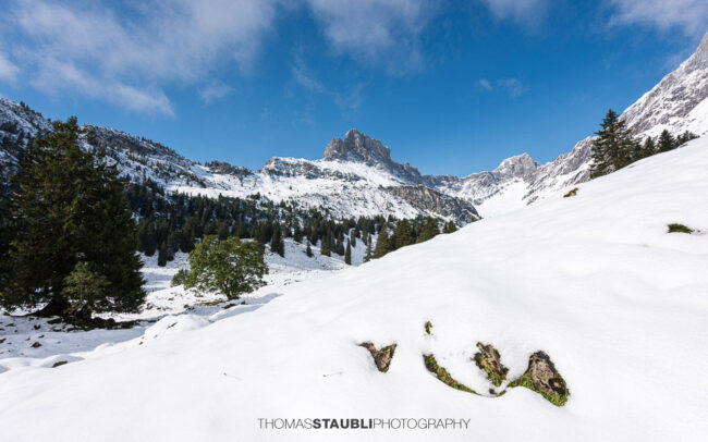 erster Schnee im September 2024 auf der Alp Bösbächi