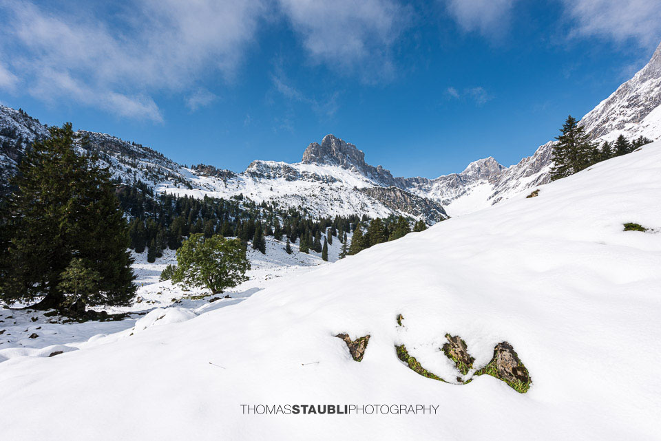 erster Schnee im September 2024 auf der Alp Bösbächi