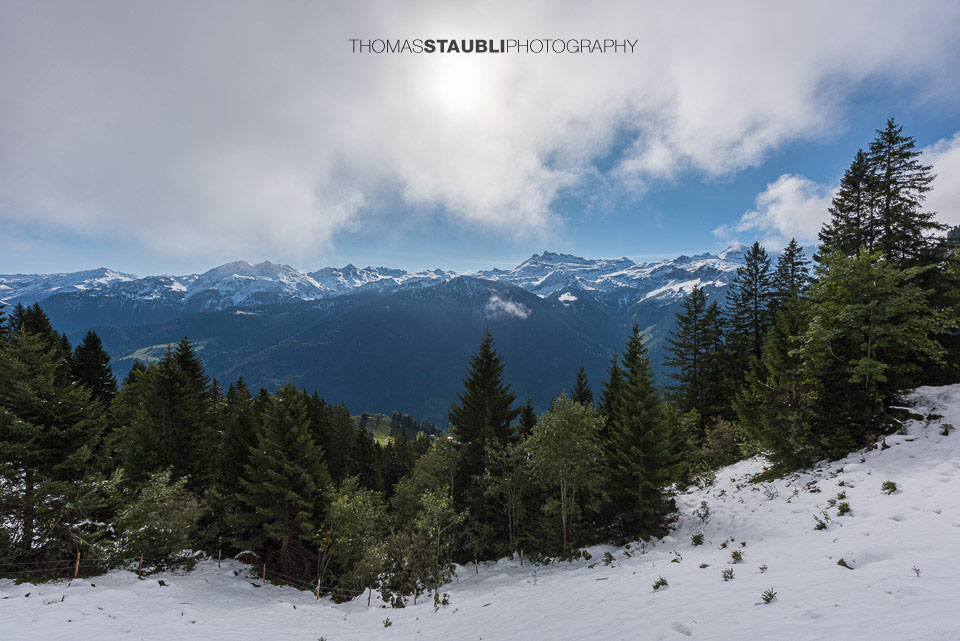 Blick zu den Glarner Alpen