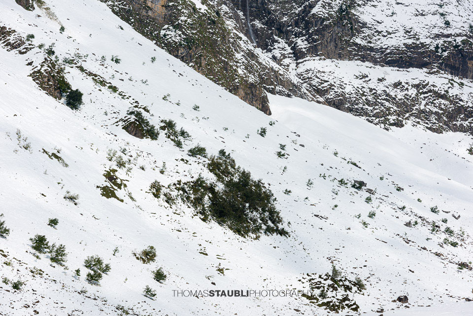 Impressionen am verschneiten Oberblegisee