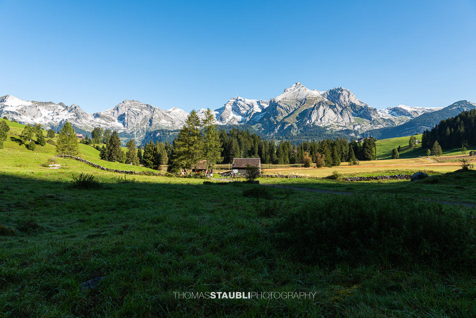 Blick vom Hinder Schwendisee zum Alpstein mit Säntis, Wildhauser Schafberg und Moor