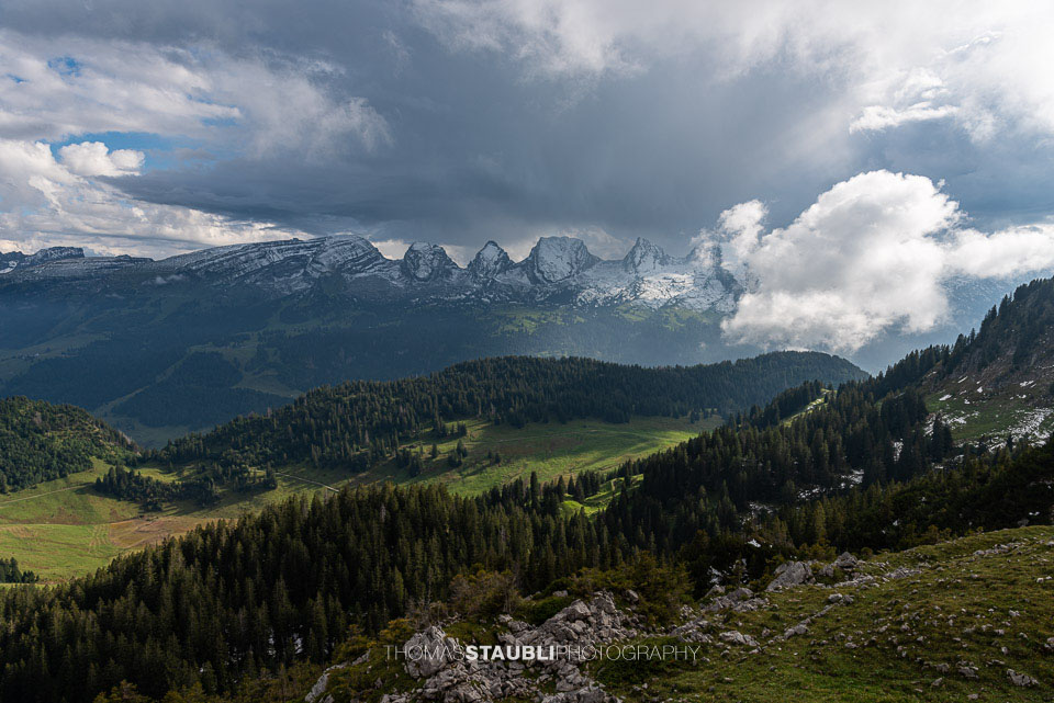 Blick zu den Churfirsten
