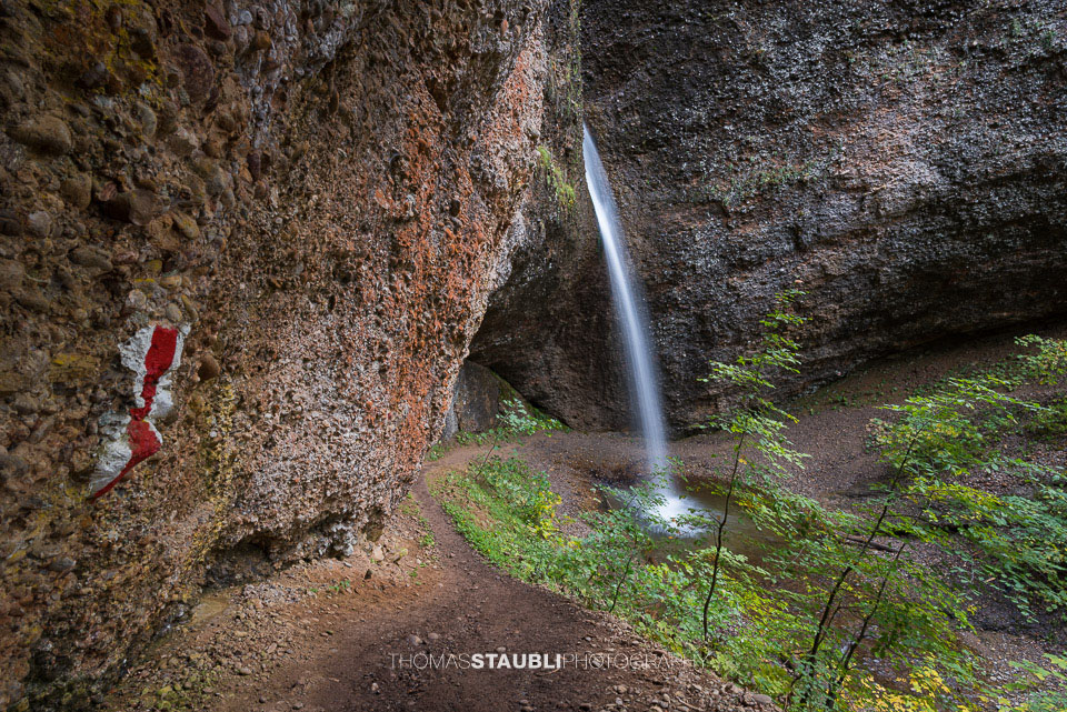 Ein schmaler Wasserfall stürzt in einem dünnen Strahl aus einem hohen, von Bäumen eingerahmten Felsbogen in die Tiefe der Necker-Schlucht beim Ofenloch.