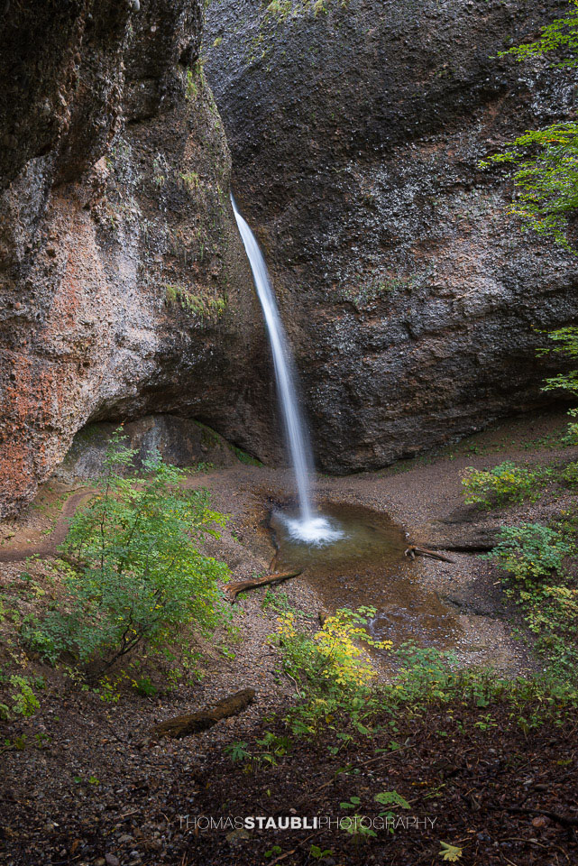 Ein schmaler Wasserfall stürzt in einem dünnen Strahl aus einem hohen, von Bäumen eingerahmten Felsbogen in die Tiefe der Necker-Schlucht beim Ofenloch.