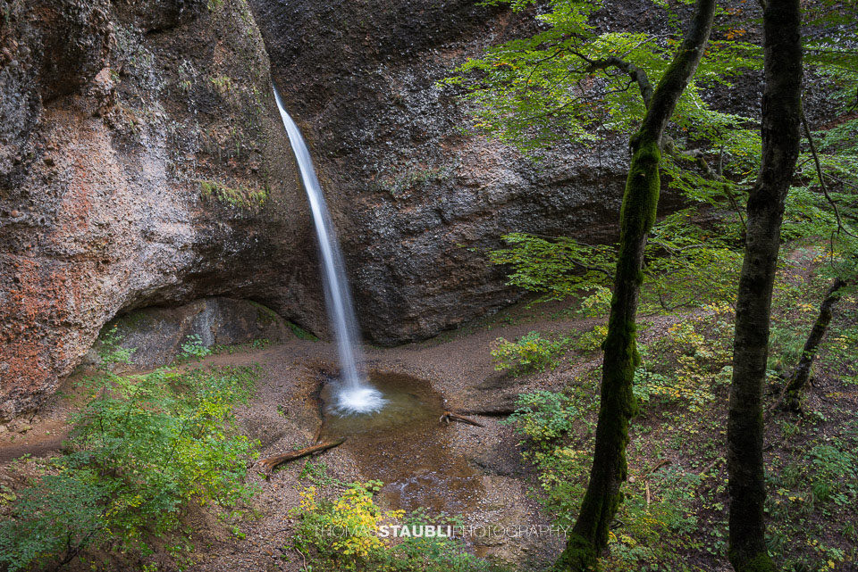 Ein schmaler Wasserfall stürzt in einem dünnen Strahl aus einem hohen, von Bäumen eingerahmten Felsbogen in die Tiefe der Necker-Schlucht beim Ofenloch.