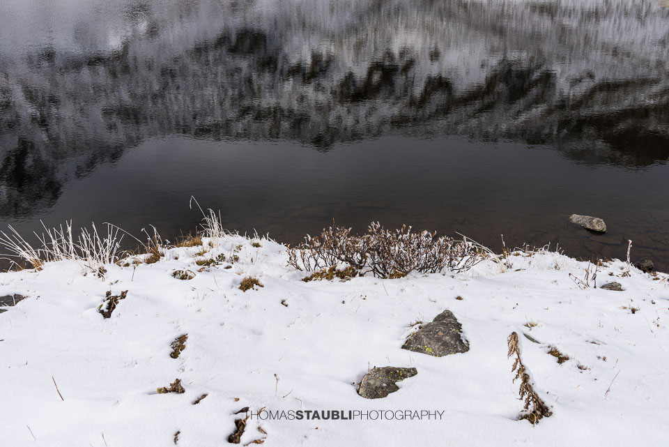 Winterimpressionen am Lai Urlaun