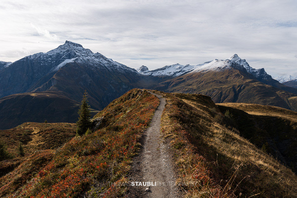 auf dem Glaser Grat mit Blick zum Piz Severin, Liz Tarantschun und zum Bruschghorn