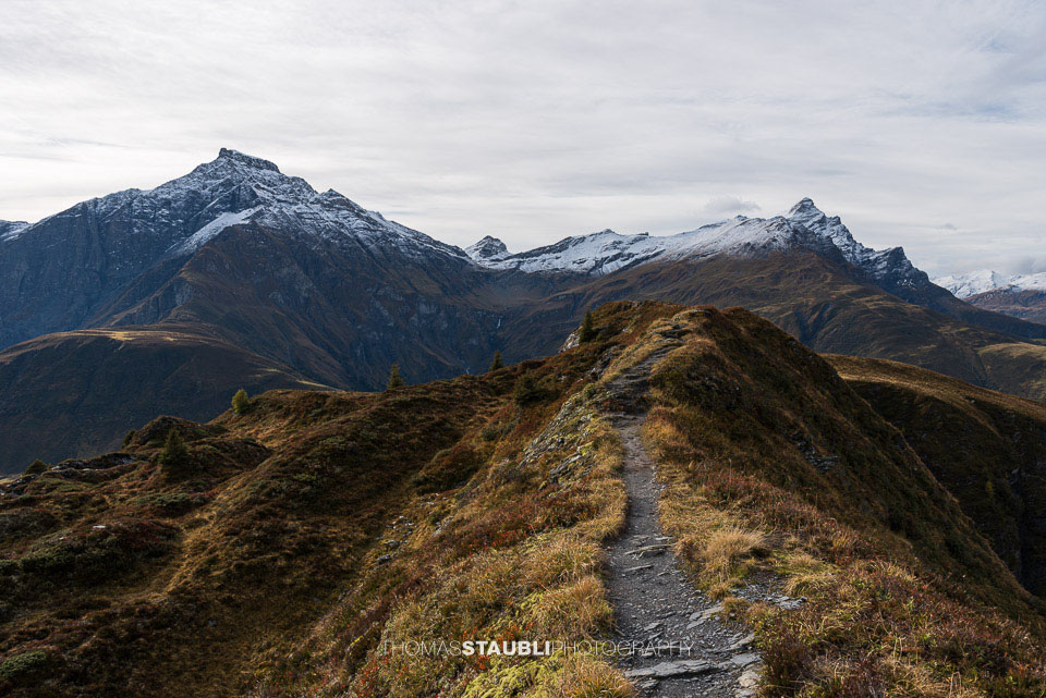 auf dem Glaser Grat mit Blick zum Piz Severin, Liz Tarantschun und zum Bruschghorn