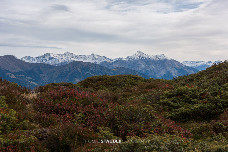 Blick zum Lenzenhorn
