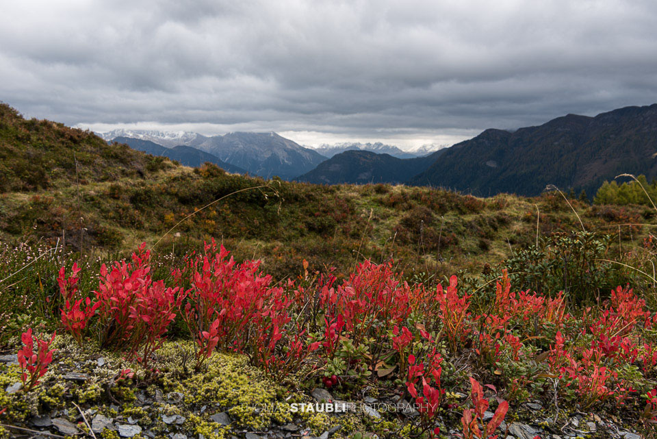 Herbstfarben am Heinzenberg