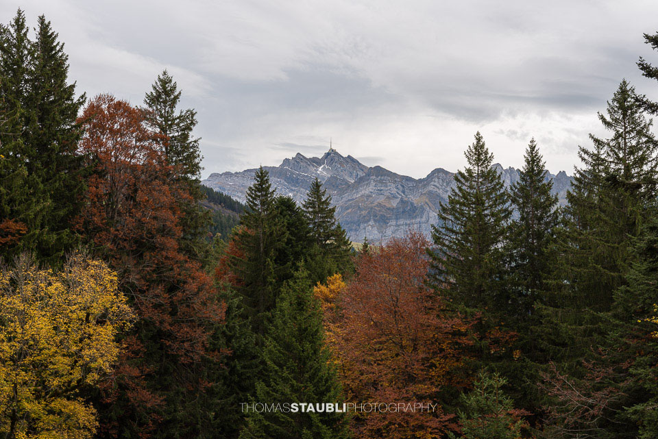 Blick von der Chlosteralp Richtung Säntis