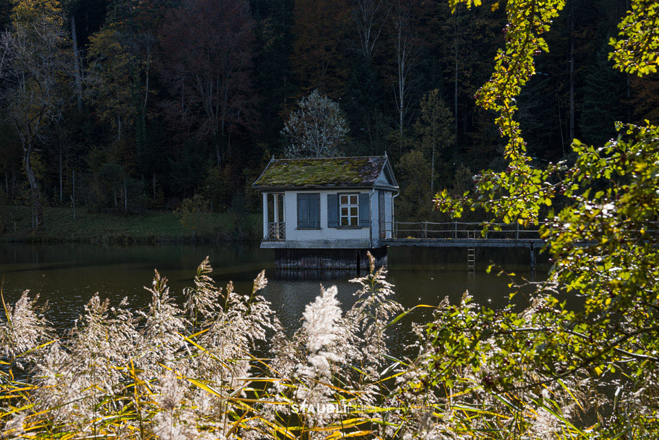 Herbst am Wenigerweier