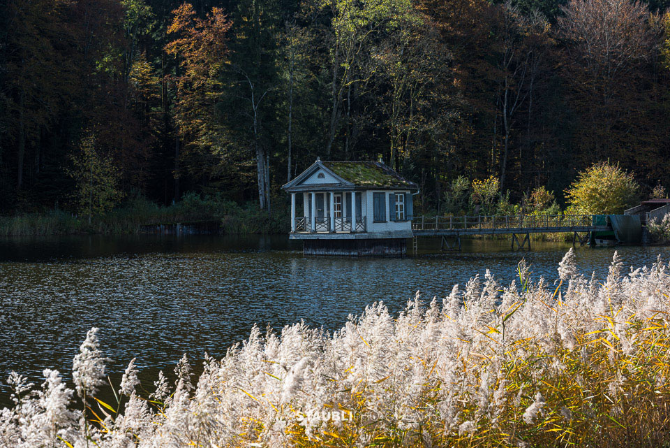 Herbst am Wenigerweier