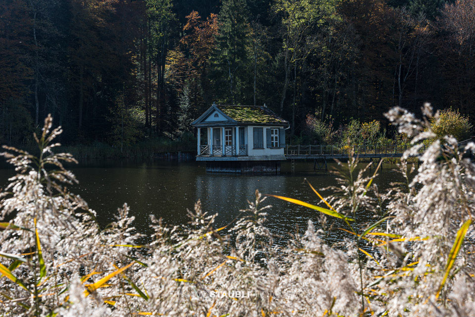 Herbst am Wenigerweier