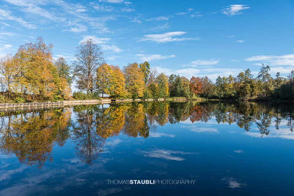 Herbst am Buebenweier