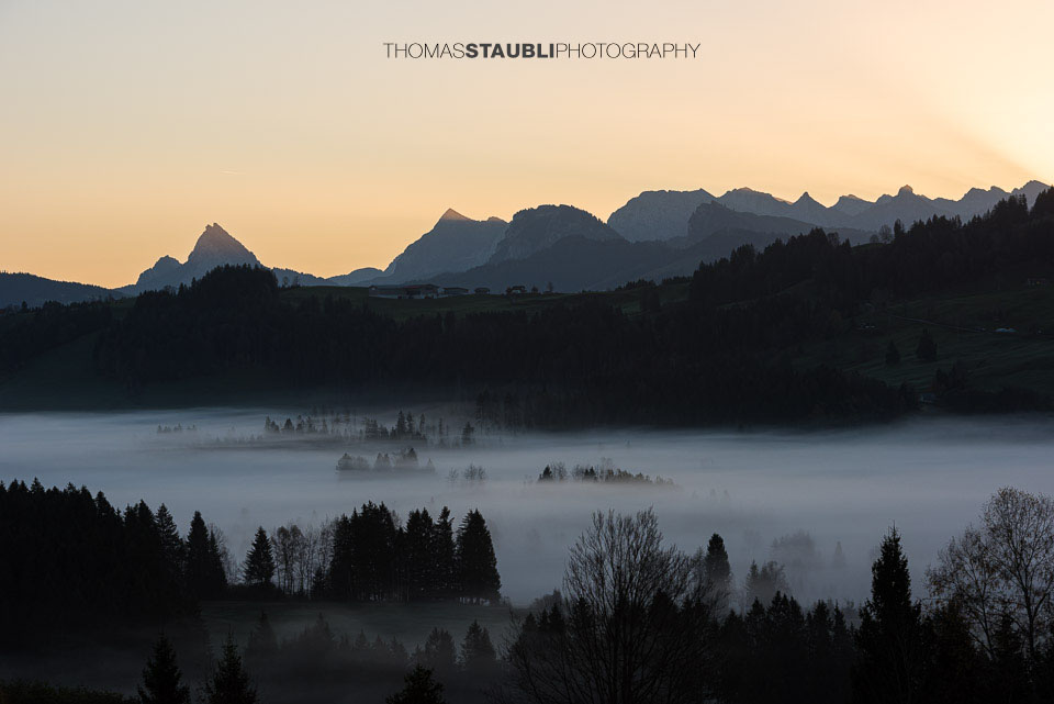 Nebelimpressionen über dem Ägeriried