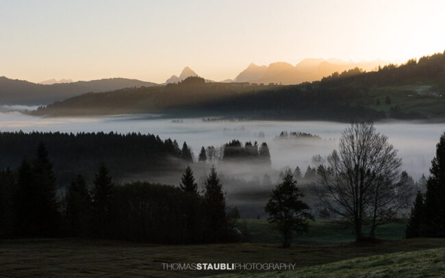 Ägeriried – Sonnenaufgang über einem nebelverhangenen Wald und einer hügeligen Landschaft mit Bergen im Hintergrund. Die sanften Sonnenstrahlen beleuchten den Nebel und schaffen eine ruhige, mystische Atmosphäre