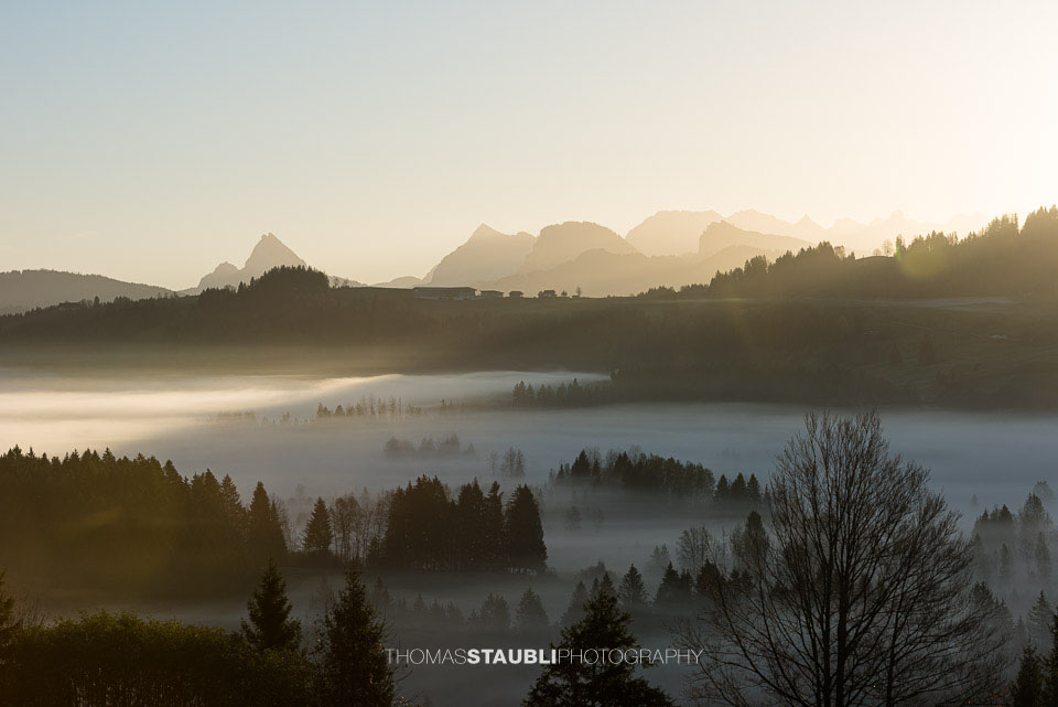 Nebelimpressionen über dem Ägeriried
