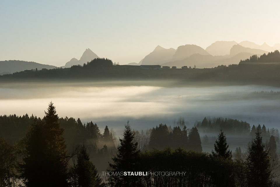 Blick auf eine dichte Nebelschicht, die sanft über einem Wald in einer hügeligen Landschaft liegt. Im Hintergrund sind mehrere Berggipfel im Morgengrauen zu erkennen.