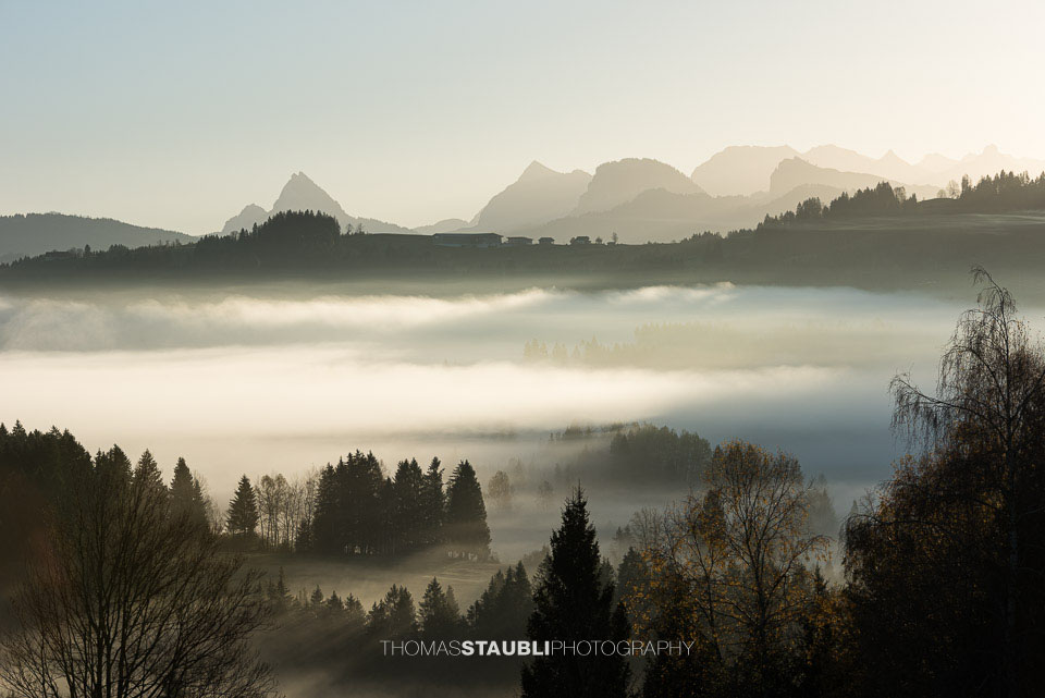 Nebel über dem Ägeriried