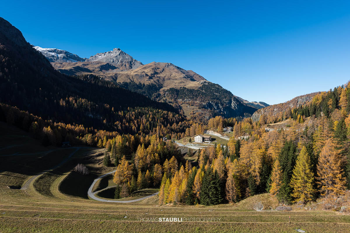 Herbst in Scalotta im Val Surses