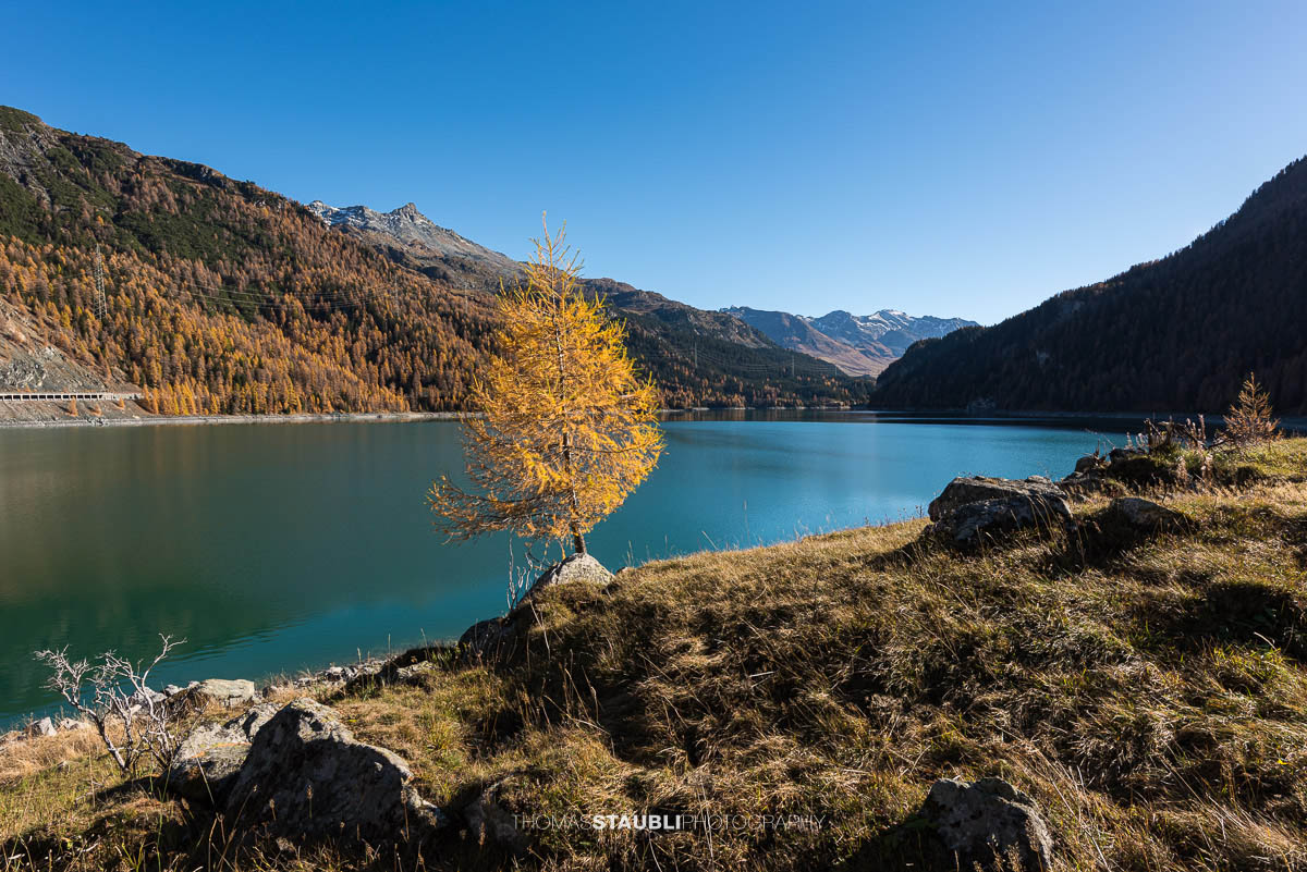Herbst am Lai da Marmorera