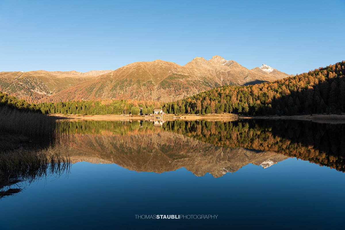 herbstliche Abendstimmung am Lej da Staz