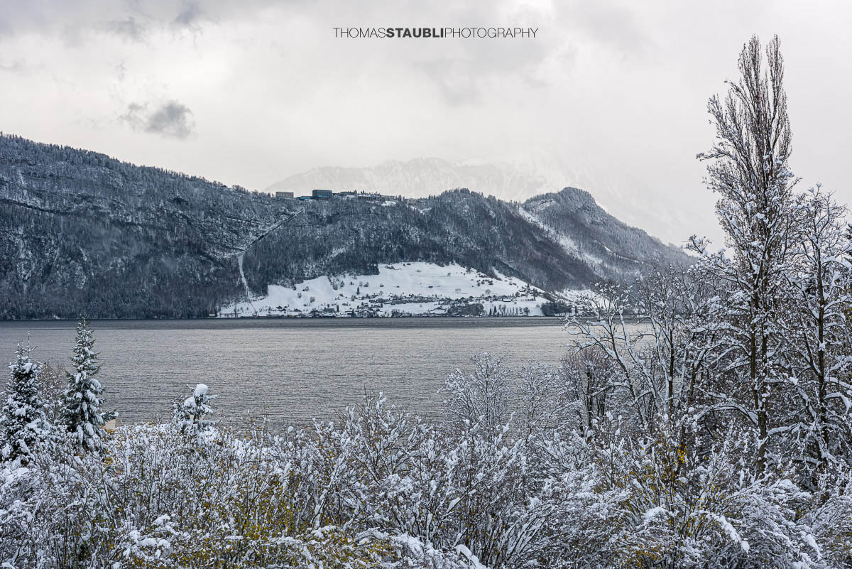Blick von Meggen Richtung verschneiten Bürgenstock