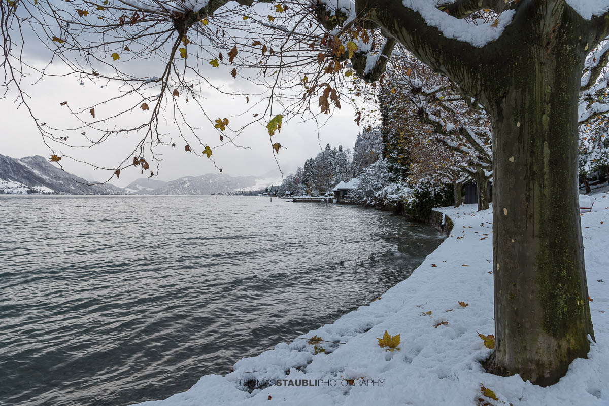winterliche Stimmung am Vierwaldstättersee bei Meggen